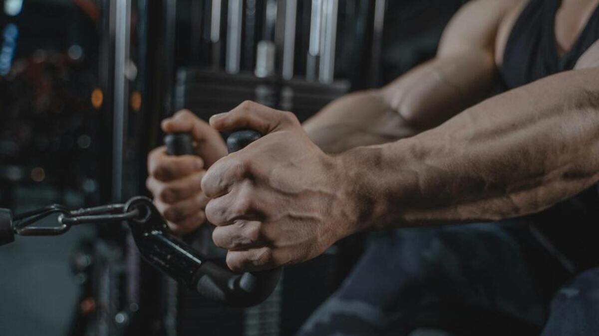 Ejercicios de tríceps: Guía definitiva para volumen y fuerza