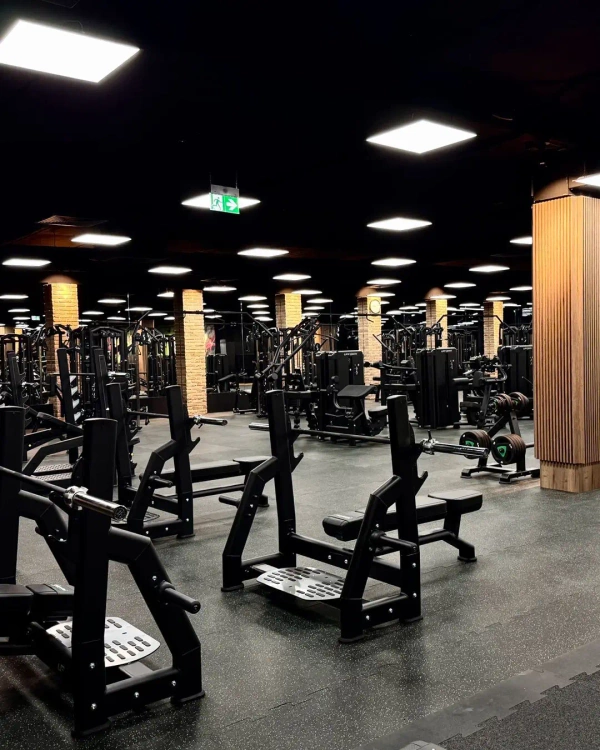 Banco plano para press de banca Olympia UR-L002 - UpForm