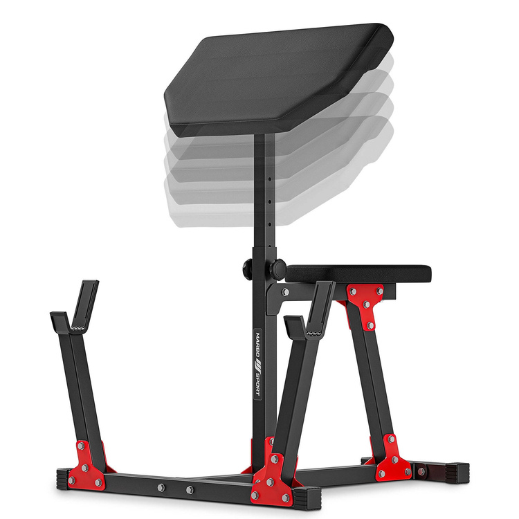 Banco escocés (bicep curl) MH-L105 - Marbo Sport