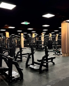 Banco de musculación plano Olympia UR-L002 - UpForm