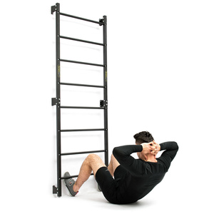 Escalera metálica de gimnasia 219 x 76 cm SG-16 - Accesorios de fitness SmartGym