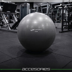 Pelota de gimnasia 75 cm grafito UpForm