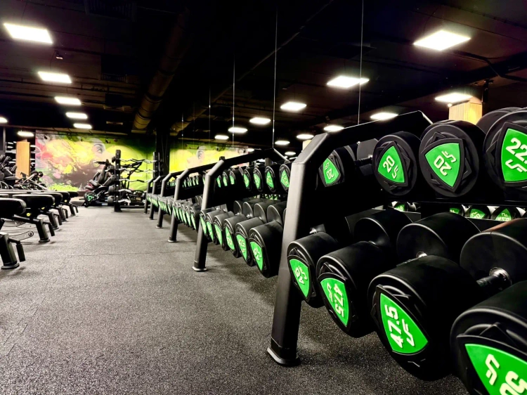 Juego de mancuernas de poliuretano1-10kg (incrementos de 1 kg) 110 kg + soporte para mancuernas UR-S005- UpForm