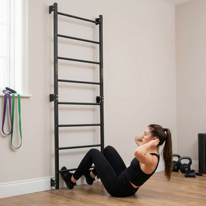 Escalera sueca metálica de gimnasia 219 x 76 cm SG-16 - SmartGym Fitness Accessories